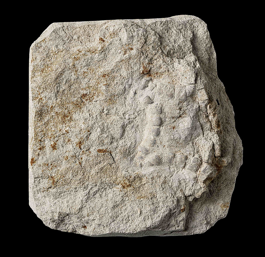 Asteroideenfund Legden 07 03 2023 MFN4602