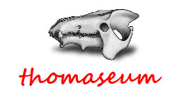 thomaseum