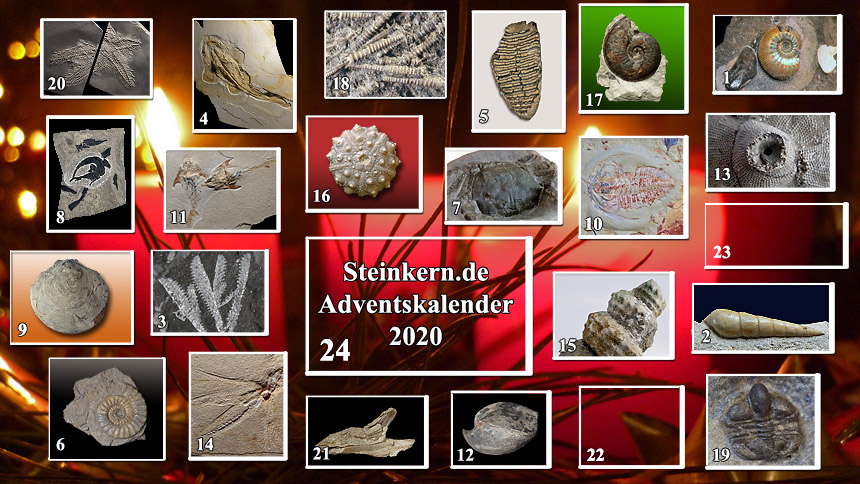 Adventskalender Tuer21