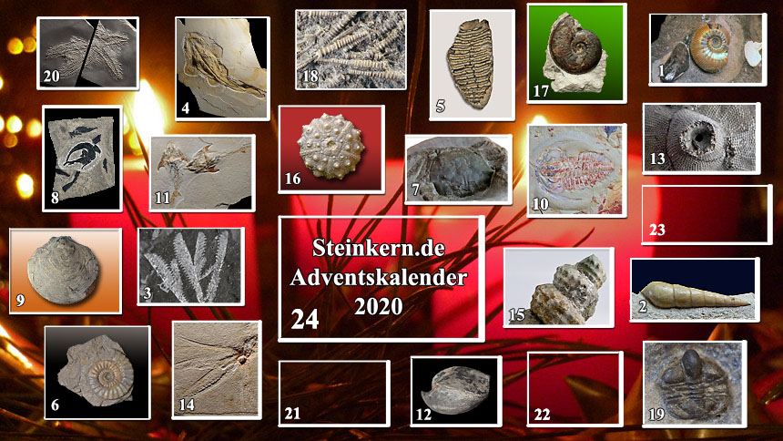 Adventskalender Tuer20