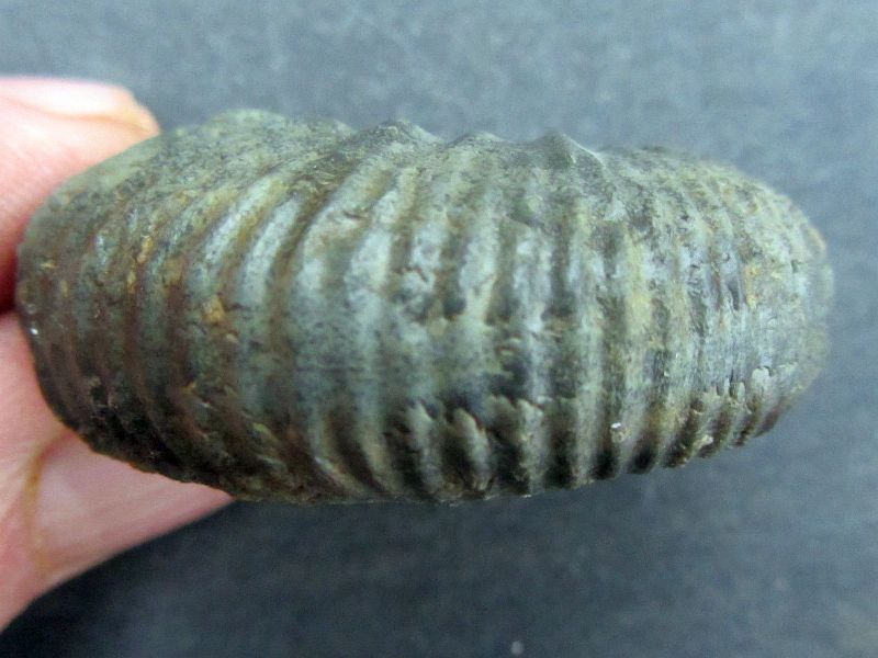 Steinkern.de Die Galerie Kategorie Beuron