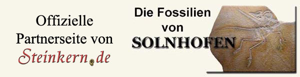 solnhofen-fossilienatlas