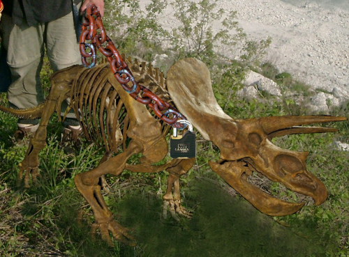 FURFOSSIL_GRUBE_01.jpg FURFOSSIL_GRUBE_01.jpg