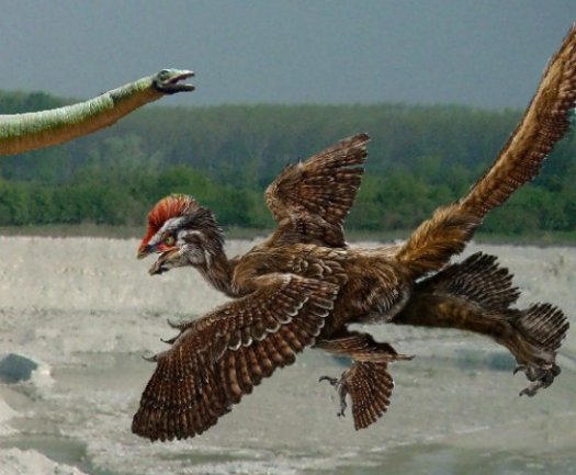 FURFOSSIL_GRUBE_03.jpg FURFOSSIL_GRUBE_03.jpg