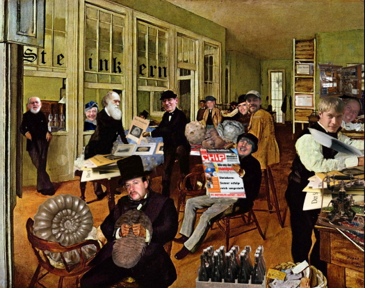 STEINKERN_DEGAS__1__FURFOSSIL.JPG STEINKERN_DEGAS__1__FURFOSSIL.JPG