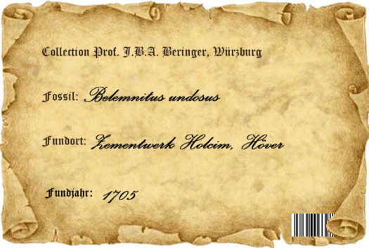 Bild_1_Etikett_525_FURFOSSIL.jpg Bild_1_Etikett_525_FURFOSSIL.jpg