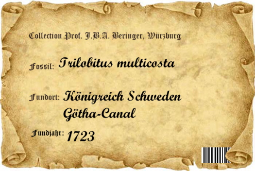 Bild_2_Etikett_525_FURFOSSIL.jpg Bild_2_Etikett_525_FURFOSSIL.jpg