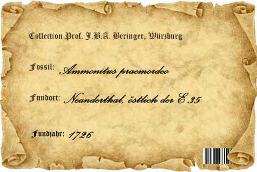 Bild_3_Etikett_525_FURFOSSIL.jpg Bild_3_Etikett_525_FURFOSSIL.jpg