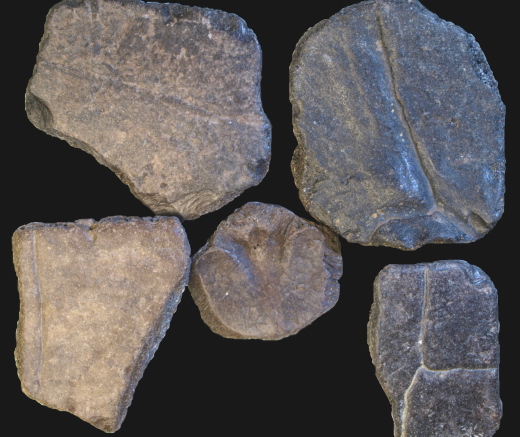 0366_Hampstead_2017a_FURFOSSIL.jpg 0366_Hampstead_2017a_FURFOSSIL.jpg