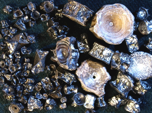 0369_IOW_1810_2023_FURFOSSIL.jpg 0369_IOW_1810_2023_FURFOSSIL.jpg
