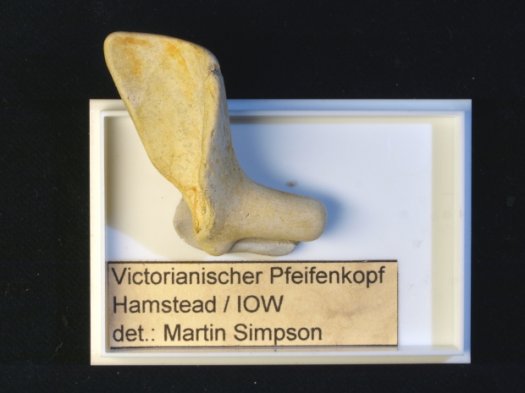 0374_IOW_Pfeife_FURFOSSIL.jpg 0374_IOW_Pfeife_FURFOSSIL.jpg