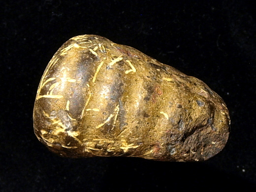 FURFOSSIL_Lengede_61_.jpg FURFOSSIL_Lengede_61_.jpg