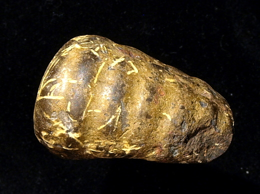 FURFOSSIL_Lengede_61_.jpg