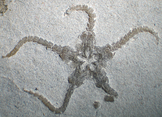 1306b.jpg 1306b.jpg