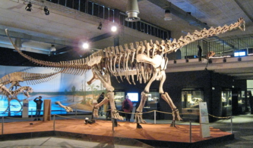 008_Jobaria_001a_FURFOSSIL.jpg 008_Jobaria_001a_FURFOSSIL.jpg