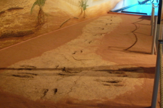 009_Tritt_FURFOSSIL.jpg 009_Tritt_FURFOSSIL.jpg