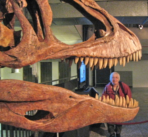 010_Haps_FURFOSSIL.jpg 010_Haps_FURFOSSIL.jpg