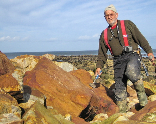 01_Scalby_08_FURFOSSIL.jpg 01_Scalby_08_FURFOSSIL.jpg