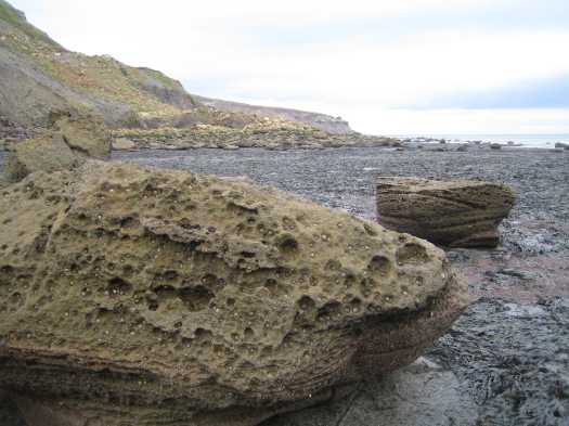 02_Port_Mulgrave_05_FURFOSSIL.jpg 02_Port_Mulgrave_05_FURFOSSIL.jpg
