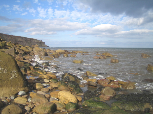 02_Port_Mulgrave_07_FURFOSSIL.jpg 02_Port_Mulgrave_07_FURFOSSIL.jpg