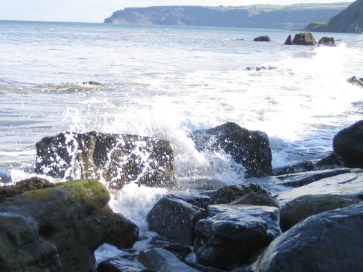 02_Port_Mulgrave_09_FURFOSSIL.jpg 02_Port_Mulgrave_09_FURFOSSIL.jpg