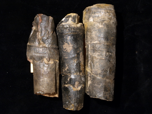 02_Port_Mulgrave_10_FURFOSSIL.jpg 02_Port_Mulgrave_10_FURFOSSIL.jpg