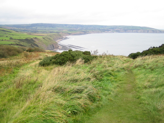 03_Ravenscar_01_FURFOSSIL.jpg 03_Ravenscar_01_FURFOSSIL.jpg