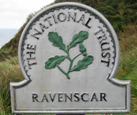 03_Ravenscar_02_FURFOSSIL.jpg 03_Ravenscar_02_FURFOSSIL.jpg