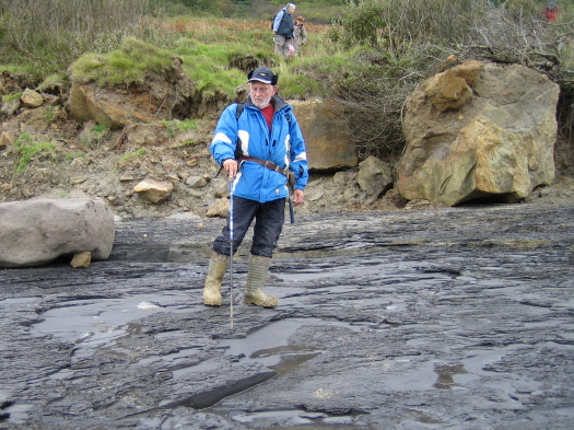 03_Ravenscar_05_FURFOSSIL.jpg 03_Ravenscar_05_FURFOSSIL.jpg
