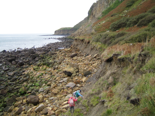03_Ravenscar_06_FURFOSSIL.jpg 03_Ravenscar_06_FURFOSSIL.jpg