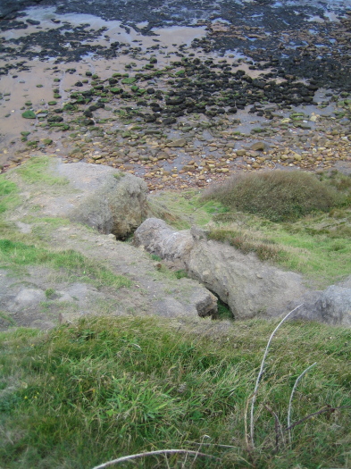 04_Kettleness_02_FURFOSSIL.jpg 04_Kettleness_02_FURFOSSIL.jpg