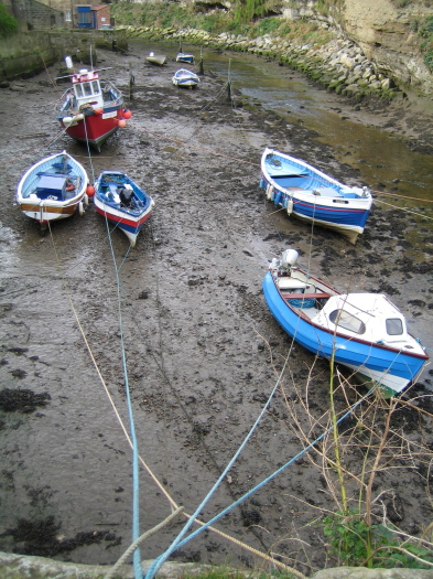 08_Staithes_02_FURFOSSIL.jpg