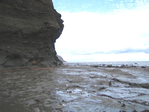 08_Staithes_03_FURFOSSIL.jpg 08_Staithes_03_FURFOSSIL.jpg