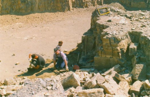 Encrinus03a.jpg Encrinus03a.jpg