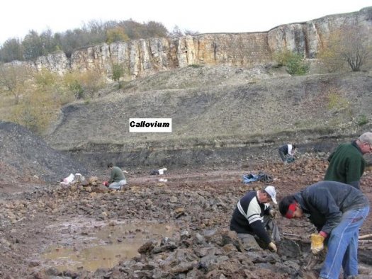 Bild1_Sengenthal.jpg Bild1_Sengenthal.jpg