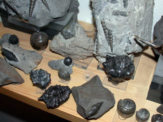 Abb._03_Weitendorf_g.jpg Abb._03_Weitendorf_g.jpg