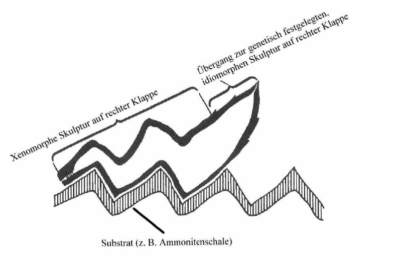 Abb.1.2__793_x_526_.jpg Abb.1.2__793_x_526_.jpg