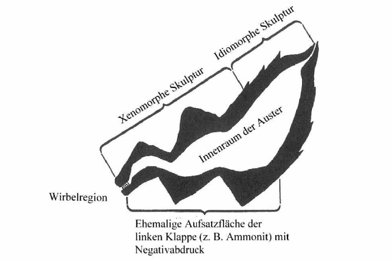 Abb.1.4__793_x_526_.jpg Abb.1.4__793_x_526_.jpg