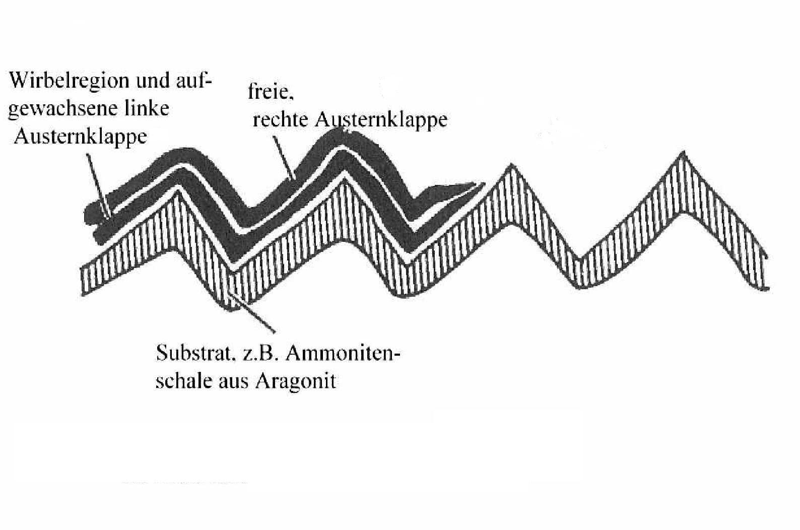 abb1.jpg abb1.jpg