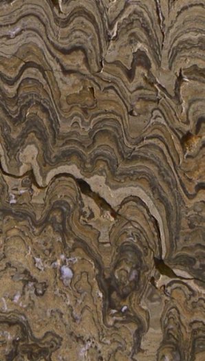 Stromatolith_Bolivien_Detail_01.jpg Stromatolith_Bolivien_Detail_01.jpg
