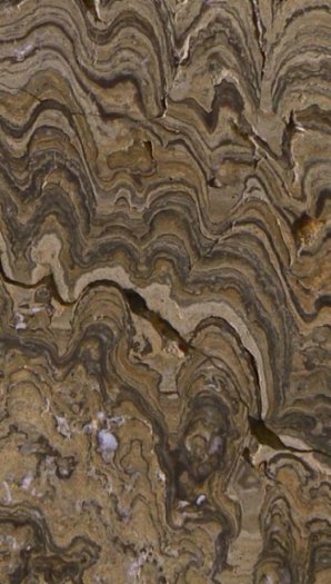 Stromatolith_Bolivien_Detail_01.jpg