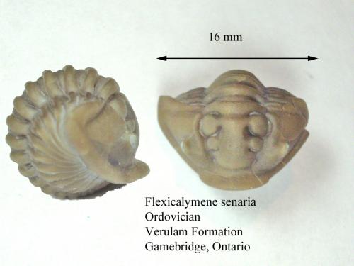 med_gallery_77_48_91713.jpg med_gallery_77_48_91713.jpg
