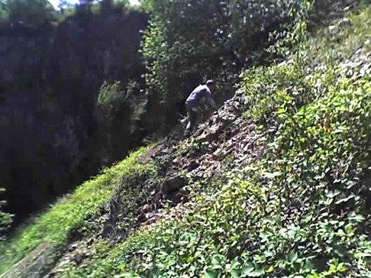 30_05_09_1242.jpg 30_05_09_1242.jpg