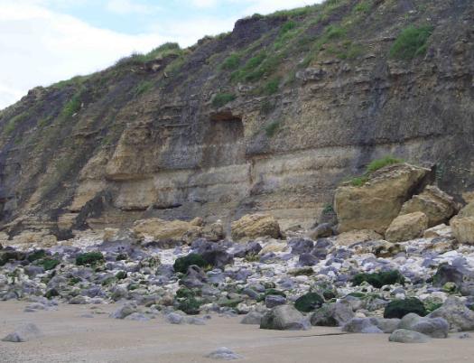 fritz_normandie_trouville8.JPG fritz_normandie_trouville8.JPG