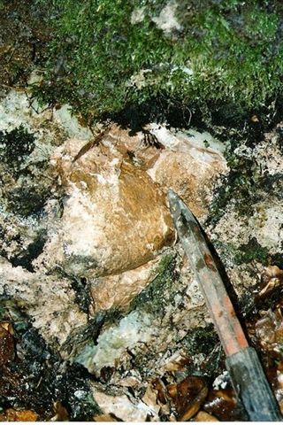 Scannen0008.jpg Scannen0008.jpg