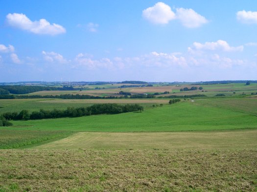 abb1_blick_ueber_die_hochflaeche_bei_winzeln.JPG