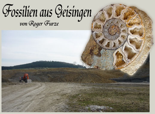 roger_geisingen.jpg roger_geisingen.jpg