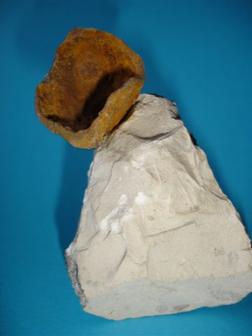 16.JPG 16.JPG