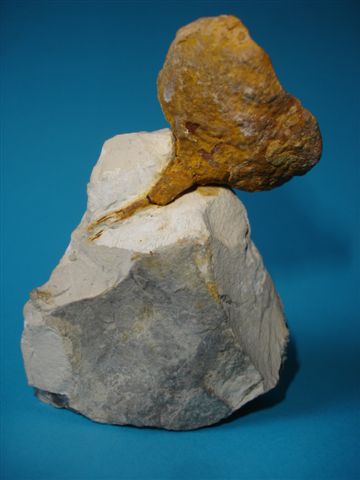 17.JPG 17.JPG