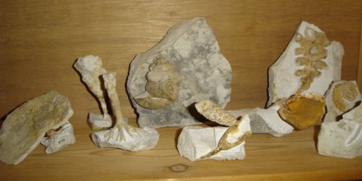 41.JPG 41.JPG